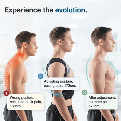 Premium Posture Corrector & Back Support Belt