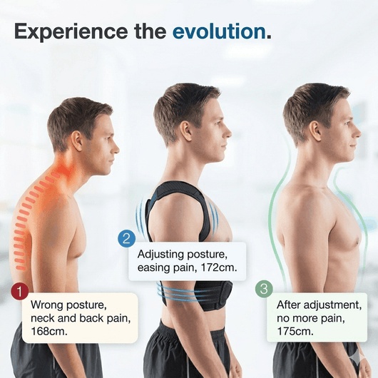 Premium Posture Corrector & Back Support Belt